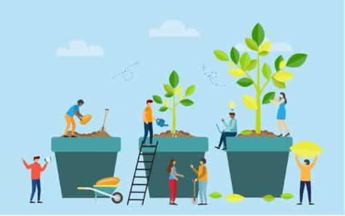 Vector illustration of a team of people working on three potted plants, each at a different stage in its growth