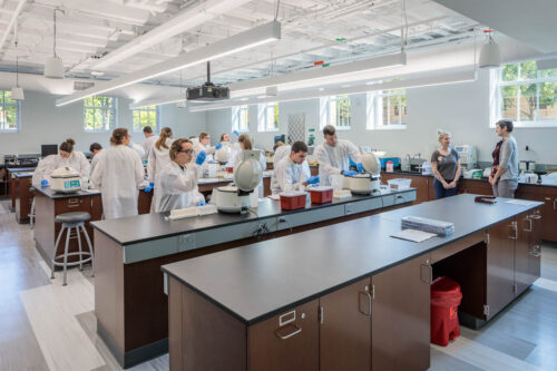 Interior photo of a lab at Moseley Hall at Bowling Green State University. Open lab with lots of bright, natural light. Room features long lab benches that run the width of the lab.