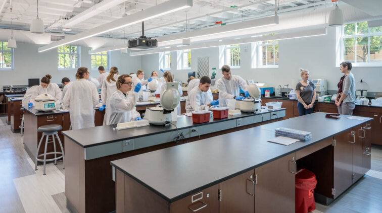 Interior photo of a lab at Moseley Hall at Bowling Green State University. Open lab with lots of bright, natural light. Room features long lab benches that run the width of the lab.